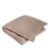 Gingerlily Silk Solid Duvet Cover, Queen In Brown