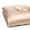 Gingerlily Silk Solid Duvet Cover, Queen In Nude