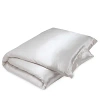 Gingerlily Silk Solid Duvet Cover, Queen In White