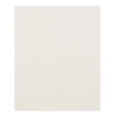 GINGERLILY SILK SOLID FITTED SHEET, KING,FTSUSK01