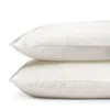 Gingerlily Silk Solid Pillowcase, Standard In Ivory