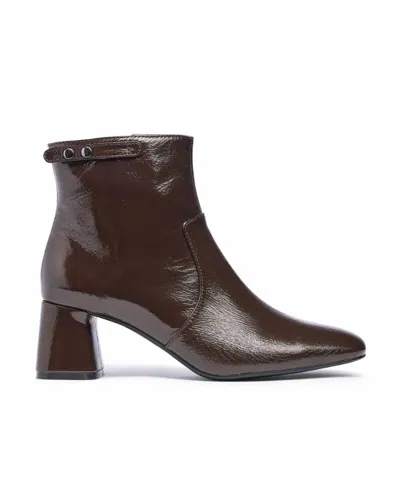 Gini & Albert Women's Kimmy Ankle Boot In Espresso In Burgundy