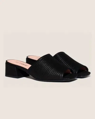 Gini & Albert Women's Lana Slide In Licorice In Black