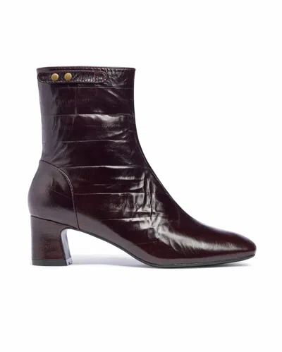 Gini & Albert Women's Wyn Boot In Chocolate Eel In Burgundy