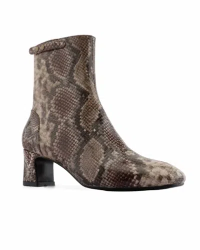 Gini & Albert Women's Wyn Boots In Snake In Animal Print