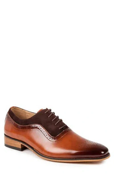 Gino Vitale Wingtip Oxford In Brown/brown