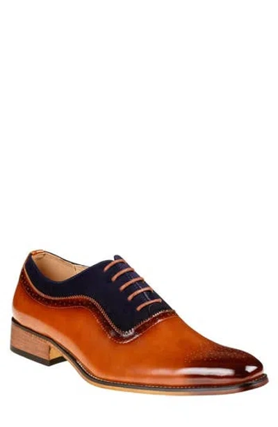 Gino Vitale Wingtip Oxford In Brown/navy