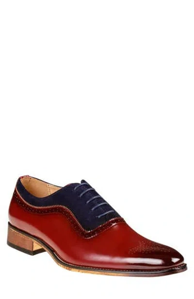 Gino Vitale Wingtip Oxford In Burgundy/navy