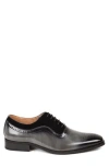 Gino Vitale Wingtip Oxford In Gray/black