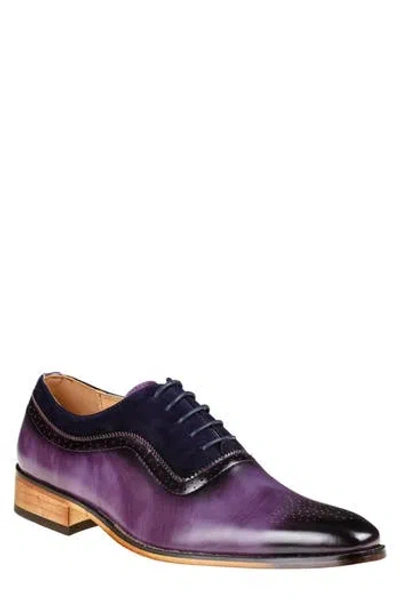 Gino Vitale Wingtip Oxford In Plum/navy