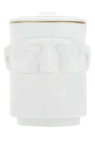 Ginori 1735 Candela Il Seguace 179rg0bfx0055 White