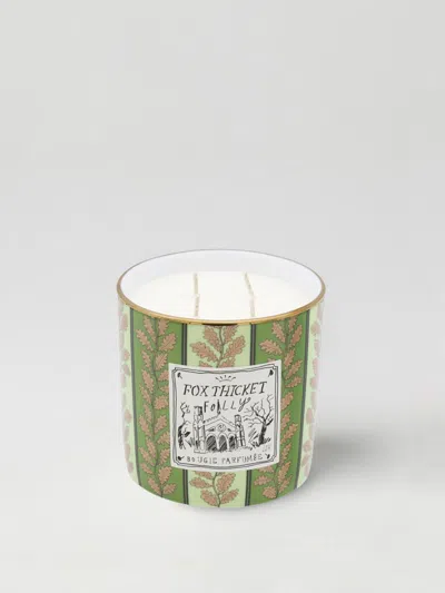 Ginori 1735 Candles And Fragrances Lifestyle Ginori In Green