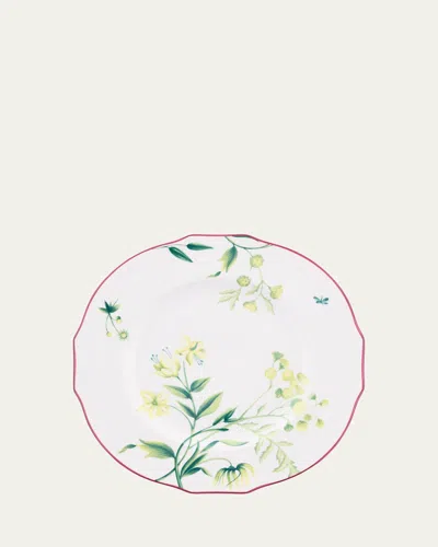 Ginori 1735 Florenza Acanto Dinner Plate