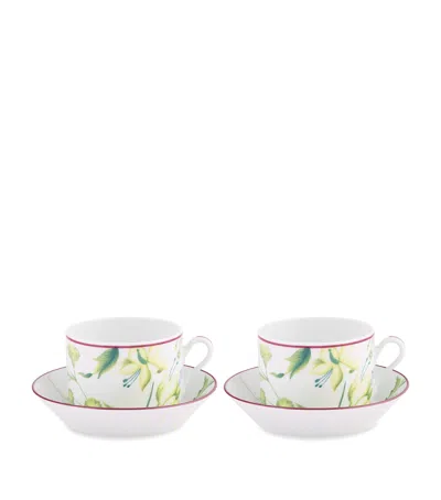 Ginori 1735 Florenza Teacup And Saucer In Multi