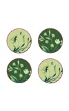 Ginori 1735 - Set-of-four Florenza Coasters - Print In Green