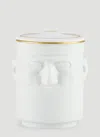 Ginori 1735 The Companion Candle In White