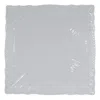 Ginori 1735 Vecchio Ginori Square Flat Plate In White