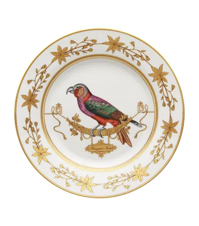 Ginori 1735 Volière Perroquet Nestor Dinner Plate In Gold