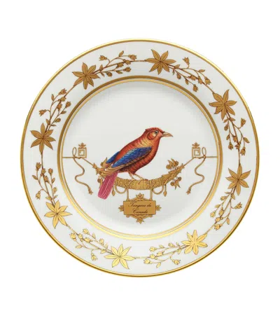 Ginori 1735 Volière Tanager Dinner Plate In Gold