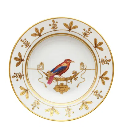 Ginori 1735 Volière Tangara Du Canada Soup Plate In Gold