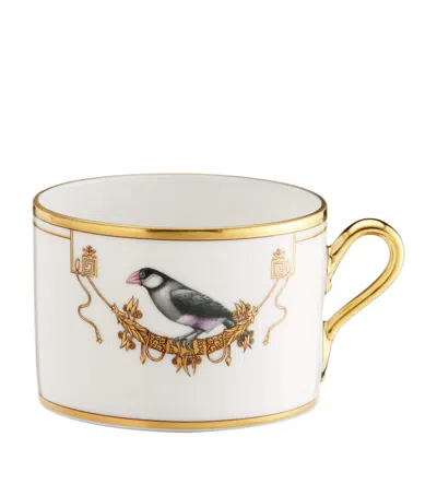 Ginori 1735 Volière Teacup In White
