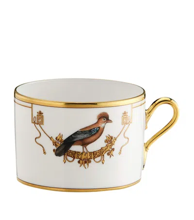 Ginori 1735 Volière Teacup In White