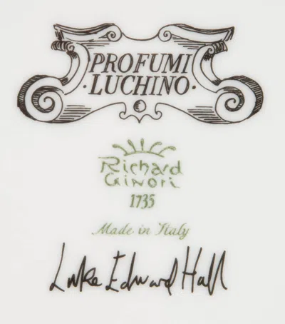 Ginori 1735 X Luke Edward Hall Large Rain Rock Creek Scented Candle