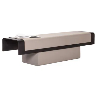 Pre-owned Giobagnara Pangea Bench By Stephane Parmentier X  In Brown