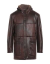 Giocasta Man Jacket Cocoa Size 46 Polyester In Brown