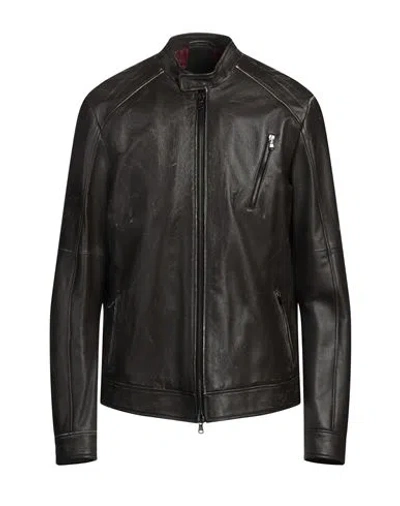 Giocasta Man Jacket Dark Brown Size 44 Leather