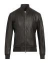 Giocasta Man Jacket Dark Brown Size 44 Soft Leather, Cotton, Polyester In Brown