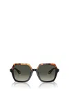 Giorgio Armani Womens Black Ar8193u Square-frame Acetate Sunglasses In Yellow Havana / Black