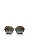 Giorgio Armani Womens Black Ar8193u Square-frame Acetate Sunglasses In Yellow Havana / Black