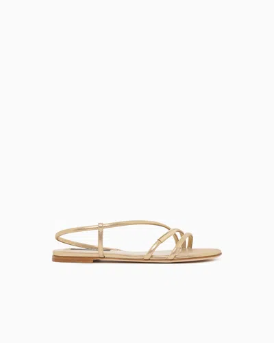 Giorgio Armani Flat Sandals In Sparkling Nubuck In Gold