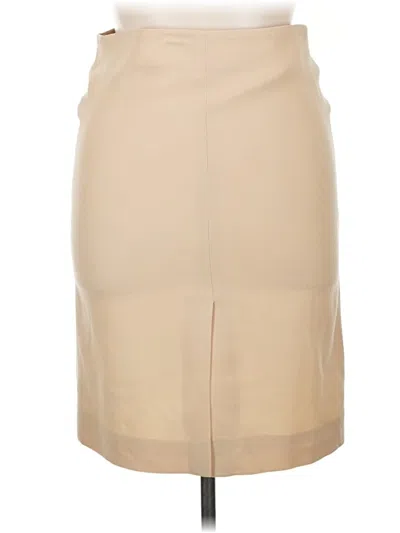 Pre-owned Giorgio Armani Formal Skirt In Brown