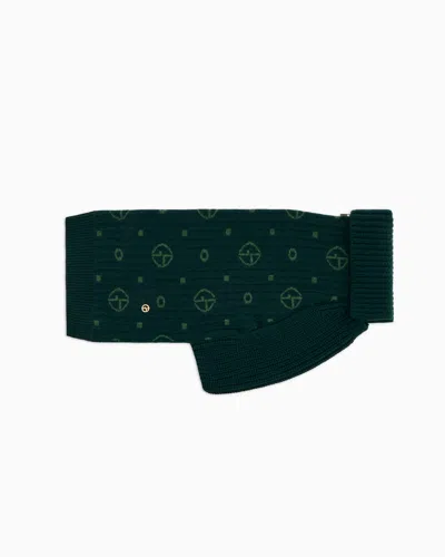Giorgio Armani Haustier-accessoires In Green