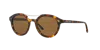 Giorgio Armani Man Sunglass Ar8007 In Brown