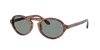 Giorgio Armani Ar8219u Striped Brown Sunglasses In Blue