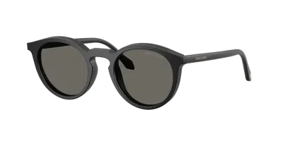 Giorgio Armani Man Sunglass Ar8230u In Grey