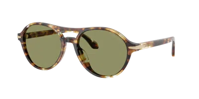 GIORGIO ARMANI GIORGIO ARMANI MAN SUNGLASSES AR8236U