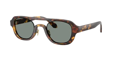 Giorgio Armani Man Sunglass Ar8247 In Brown
