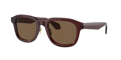Giorgio Armani Man Sunglasses Ar8206 In Dark Brown