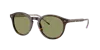 Giorgio Armani Man Sunglass Ar8211 In Brown