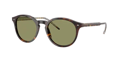 Giorgio Armani Man Sunglass Ar8211 In Brown