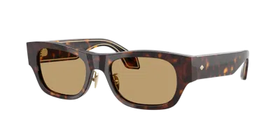 Giorgio Armani Man Sunglass Ar8224 In Brown