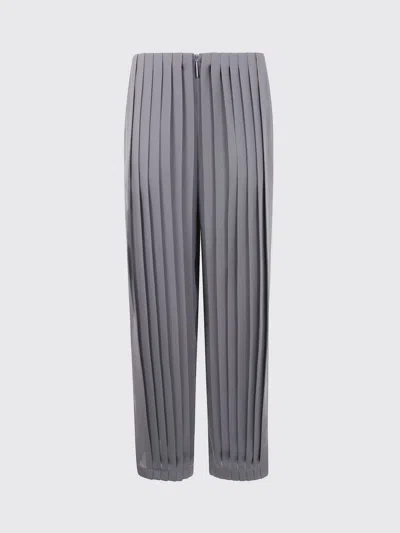 Giorgio Armani Pleated Silk Trousers In Gray