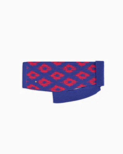 Giorgio Armani Pet Accessories