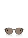 Giorgio Armani Round-frame Sunglasses In Brown