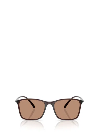 Giorgio Armani Sunglasses In Brown