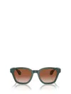 Giorgio Armani Man Sunglass Ar8207 In Green